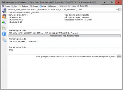 05_MediaInfo_Fichier-MTS_CX730.jpg