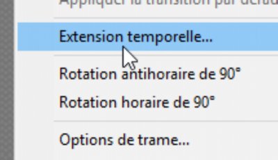 extension temporelle-1.jpg