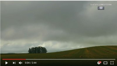 Capture2.JPG