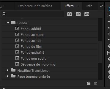 PP_Fondu.JPG