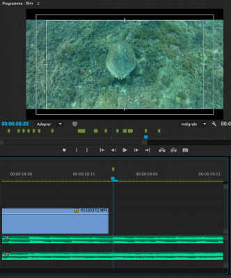Capture d’écran 2016-11-10 à 20.36.40.png