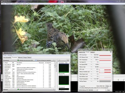 MPC-HC_Canopus-HQ.JPG
