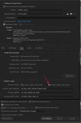 PP_export-NV_HEVC.jpg