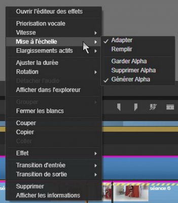 Adaption ou remplir..JPG