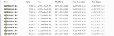 Windows_Dates.JPG
