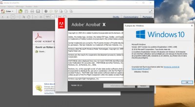 W10-Acrobat-X.JPG