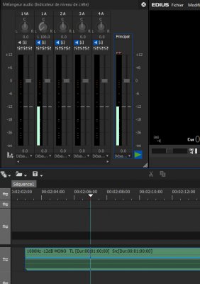 WAV 1000Hz.jpg