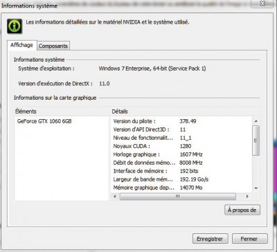 Nvidia_Pilote-212113.JPG