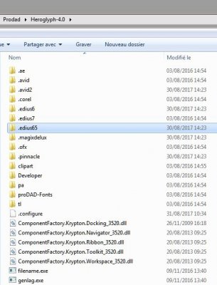 Heroglyph_compatibilité2.JPG