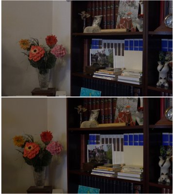 X33vs6300.jpg