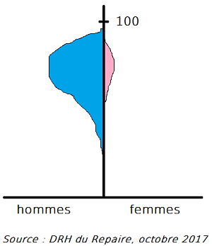 pyramide des ages.png