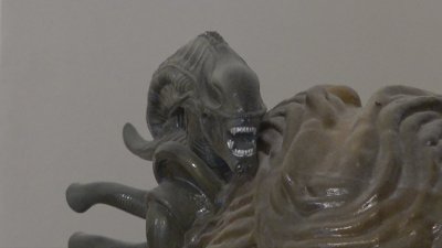 test nx100.jpg