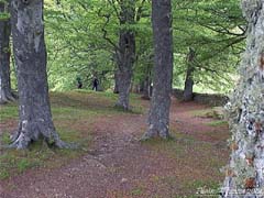 dsc00090.jpg