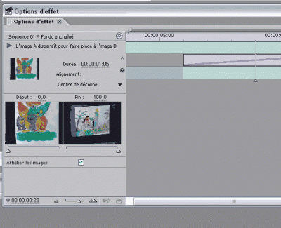 transition2.gif