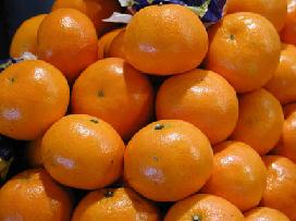 mandarines.jpg