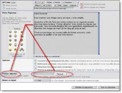 insertion image..jpg