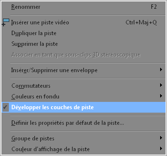 Vegas_couches de piste.png