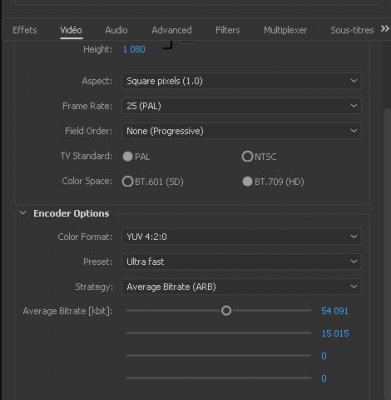 PP_Vouckoder_Video-bitrate.JPG