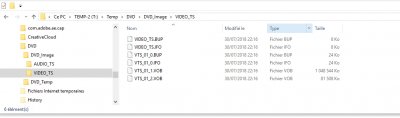 Edius_DVD_video_ts.jpg