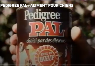 Pal.PNG