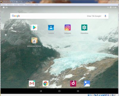 AndroidX_Gestionnaire de fichiers.JPG