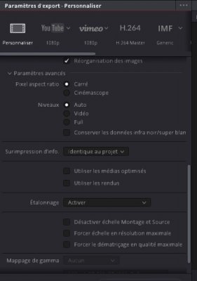 Resolve_export_pramètres avancés.JPG