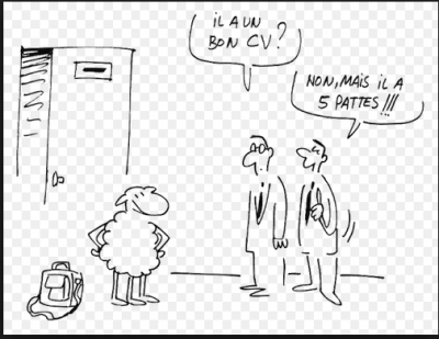 Mouton.PNG