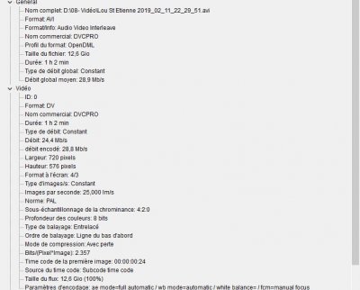 infos fichier Avi- 1.jpg