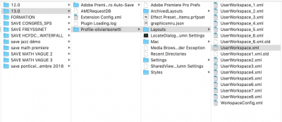 premiere_2.png