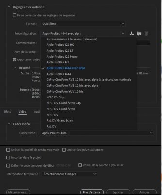 PP_Export-Prores-Std.JPG