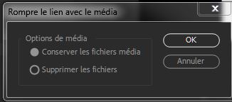 PP_Rompre le lien avec le media.JPG