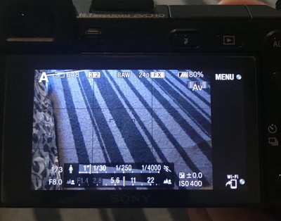 7F759A34-3342-4534-8EB7-358C04FCA3CF.jpeg