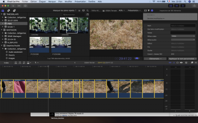Capture d’écran 2019-07-30 à 20.30.47.png