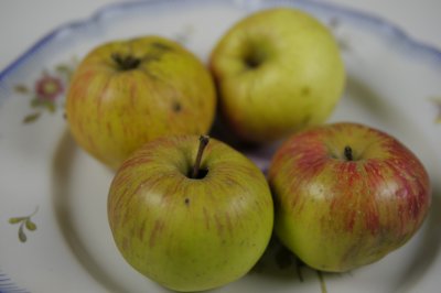 Photo 2.jpg