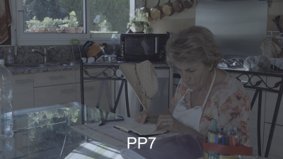 PP7 avant correction.png