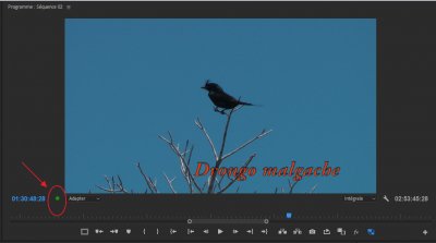 PP_voyant-images perdues.jpg
