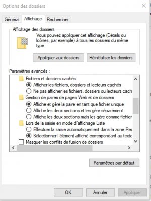 Option1_fichiers.jpg