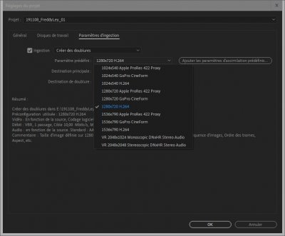 191110_Premiere_Pb_MXF-Proxy_02.jpg