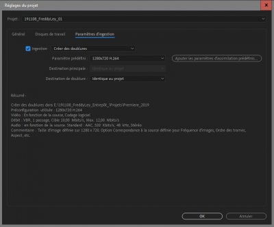 191110_Premiere_Pb_MXF-Proxy_03.jpg