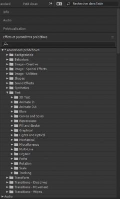 A.E_animations-texte.JPG
