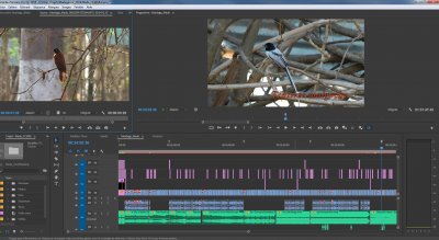 PP_export-gros projet.JPG