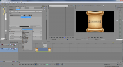 Vegas_Animation Texte.png
