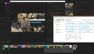 export UHD RTX3000.jpg