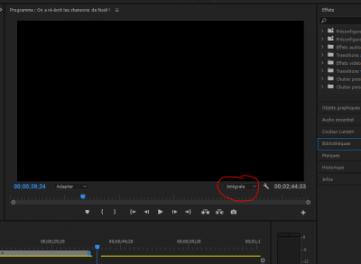 Premier Pro captuer.PNG