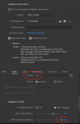PP_export-H265-débit.jpg