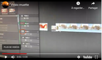 Resolve_Piste non selectionnéee.png