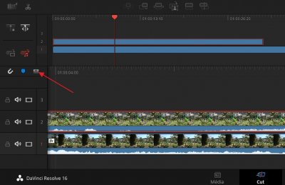 Resolve_pistes onglet Cut.jpg