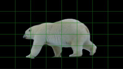A.E_rotoscopie-ours2.JPG