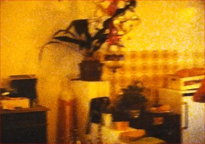 Capture1.JPG