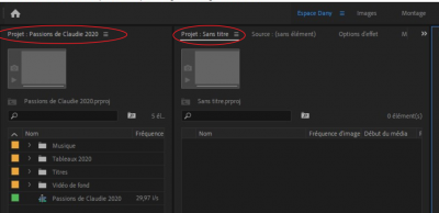 PP_projets-multiples.png